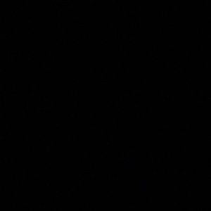 Meet your Posher, Isaac